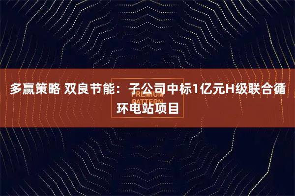 多赢策略 双良节能：子公司中标1亿元H级联合循环电站项目