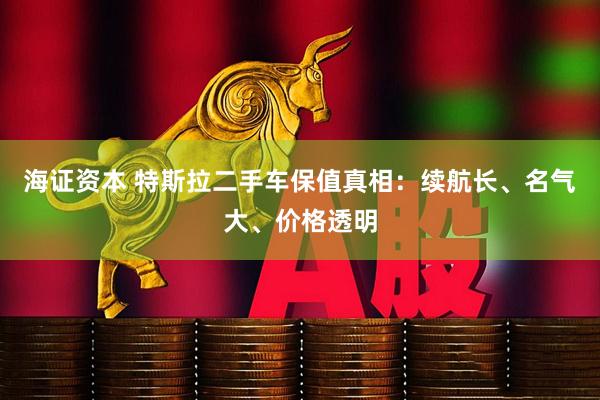 海证资本 特斯拉二手车保值真相：续航长、名气大、价格透明