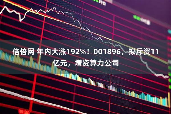 倍倍网 年内大涨192%！001896，拟斥资11亿元，增资算力公司