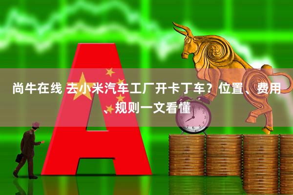 尚牛在线 去小米汽车工厂开卡丁车?位置、费用、规则一文看懂