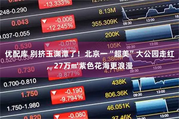 优配库 别挤玉渊潭了！北京一“超美”大公园走红，27万㎡紫色花海更浪漫