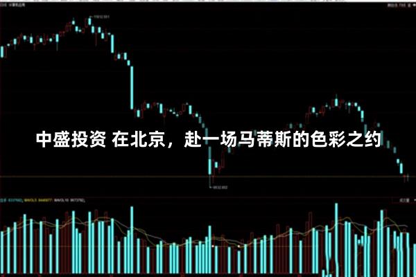 中盛投资 在北京，赴一场马蒂斯的色彩之约