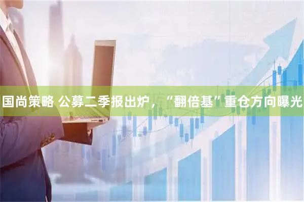 国尚策略 公募二季报出炉，“翻倍基”重仓方向曝光