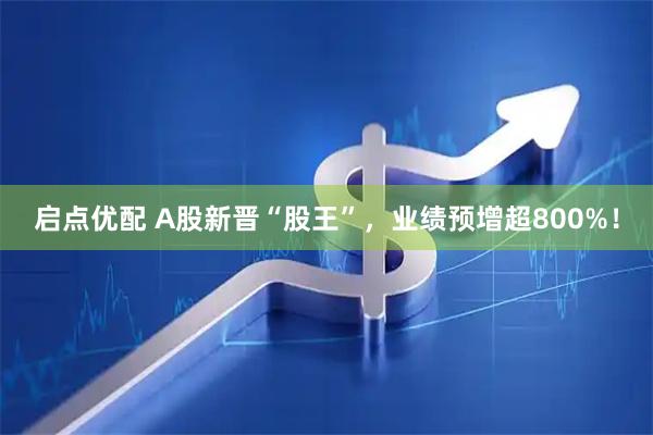 启点优配 A股新晋“股王”，业绩预增超800%！