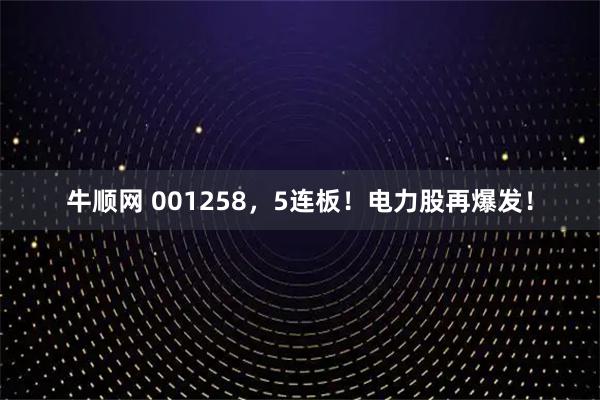 牛顺网 001258，5连板！电力股再爆发！