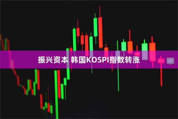 振兴资本 韩国KOSPI指数转涨