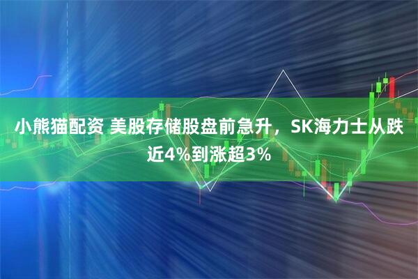 小熊猫配资 美股存储股盘前急升，SK海力士从跌近4%到涨超3%
