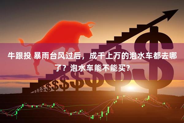 牛跟投 暴雨台风过后，成千上万的泡水车都去哪了？泡水车能不能买？