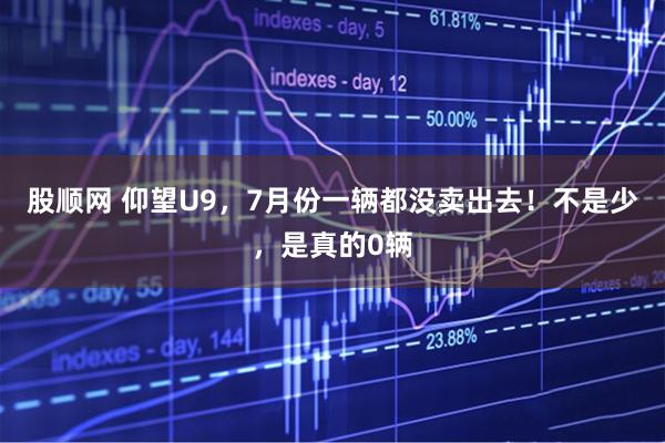 股顺网 仰望U9，7月份一辆都没卖出去！不是少，是真的0辆